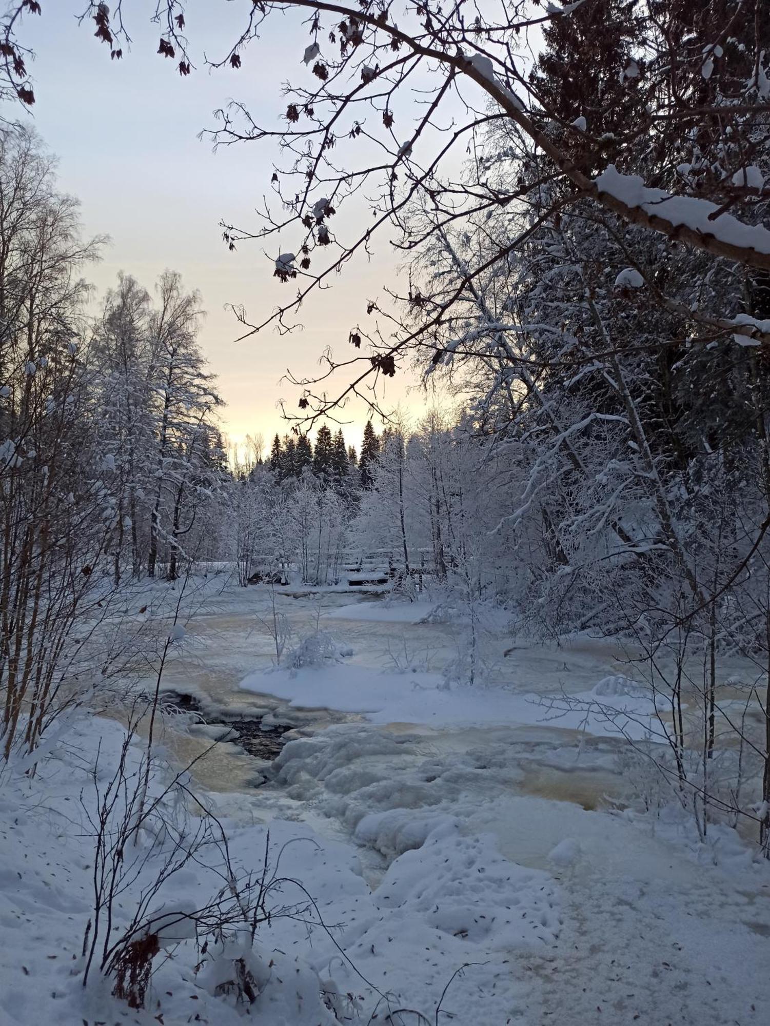 Sunnemoslantliv B&B Exteriör bild